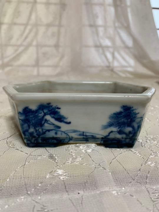 磯山4点セット　人気鉢