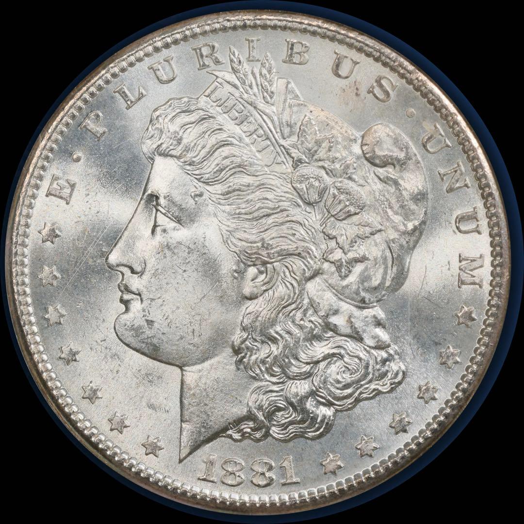 【1881-S アメリカ モルガンダラー銀貨】トーン NGC MS 65