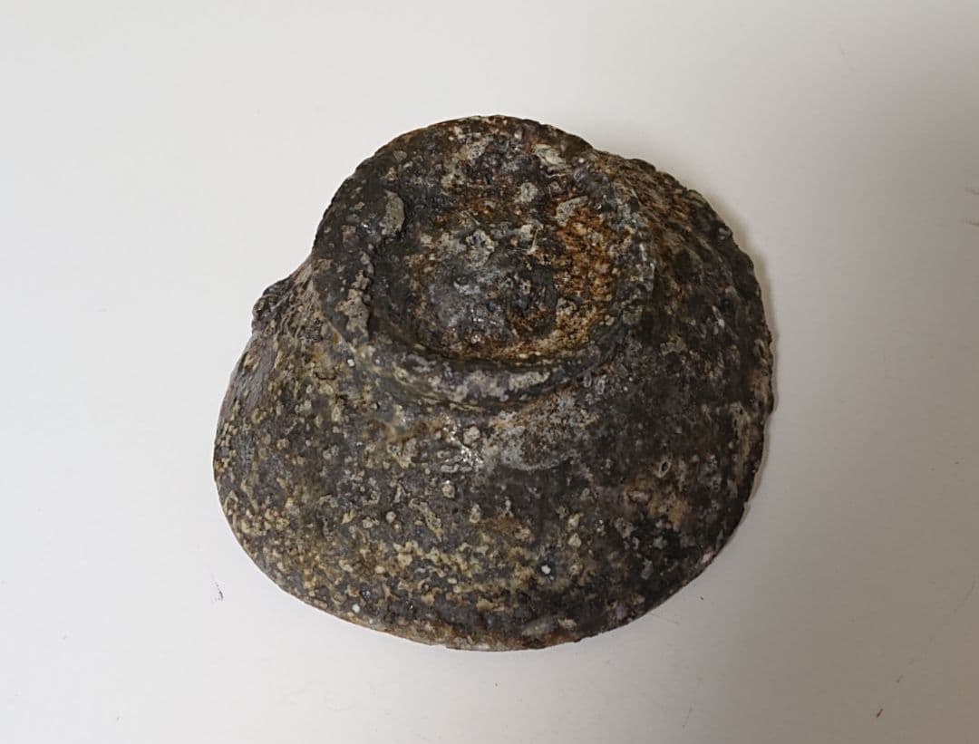 金重まこと 備前 盃