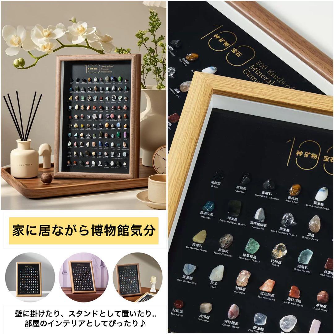 100種類 鉱物 鉱石 天然石 標本 フレーム スタンド インテリア