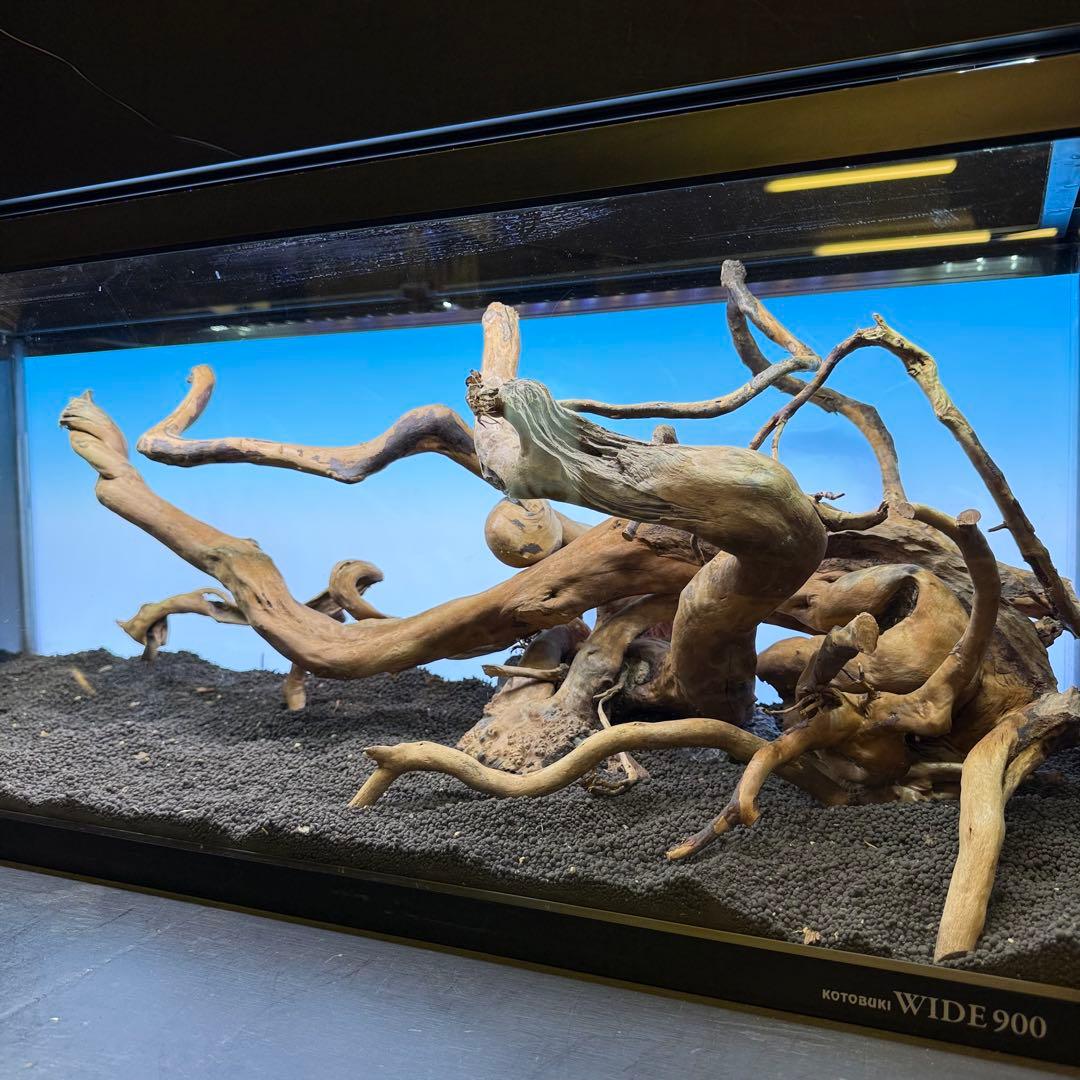 MDW-7146 ブランチウッドレイアウトセット　90cm水槽用流木　枝流木