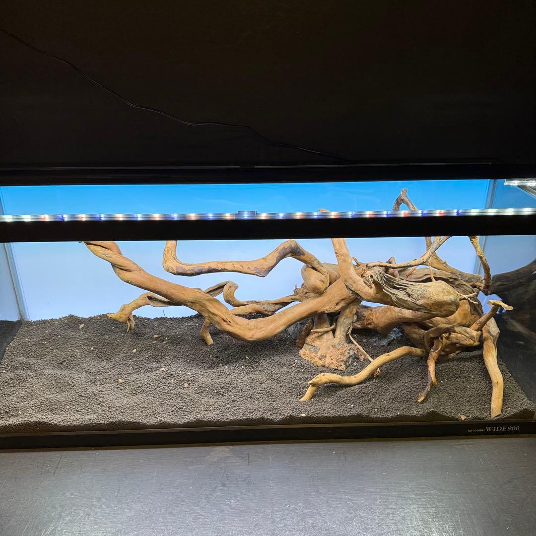 MDW-7146 ブランチウッドレイアウトセット　90cm水槽用流木　枝流木