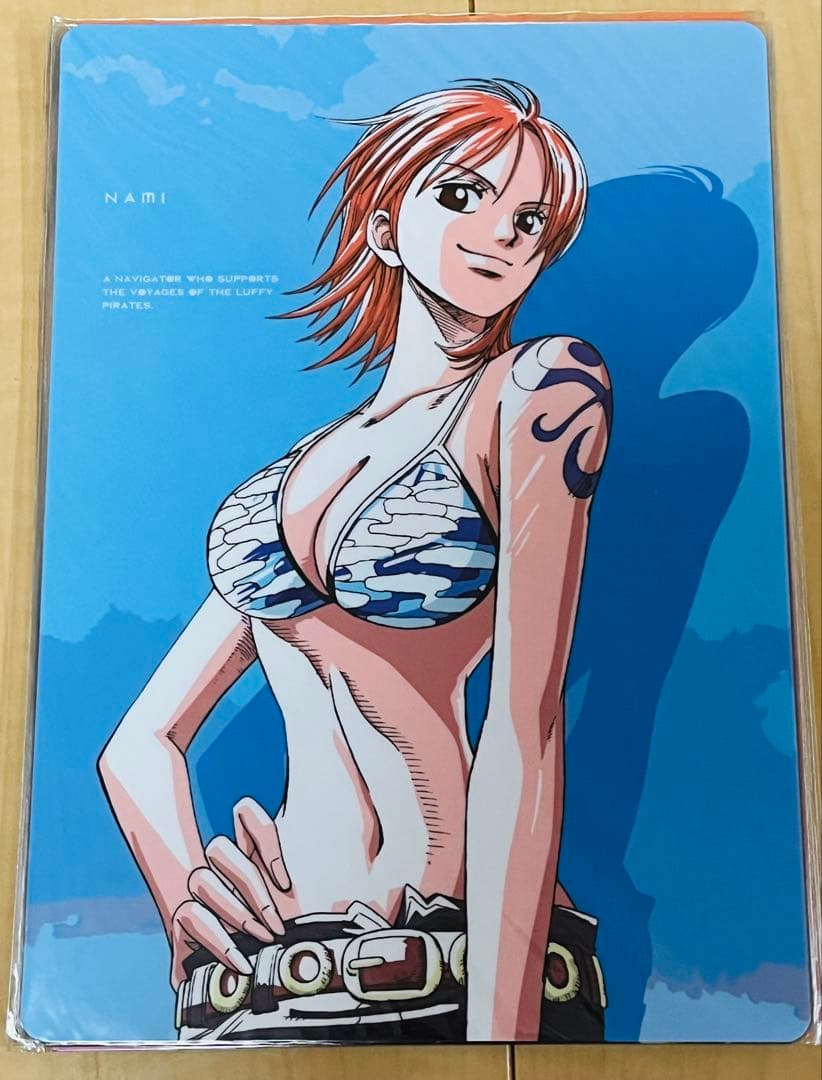 ワンピース 下敷き ルフィ ゾロ ナミ サンジ ロビン ONEPIECE レア