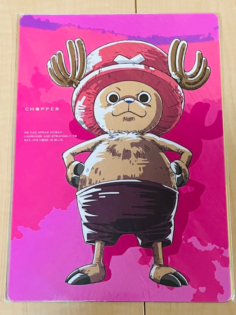 ワンピース 下敷き ルフィ ゾロ ナミ サンジ ロビン ONEPIECE レア