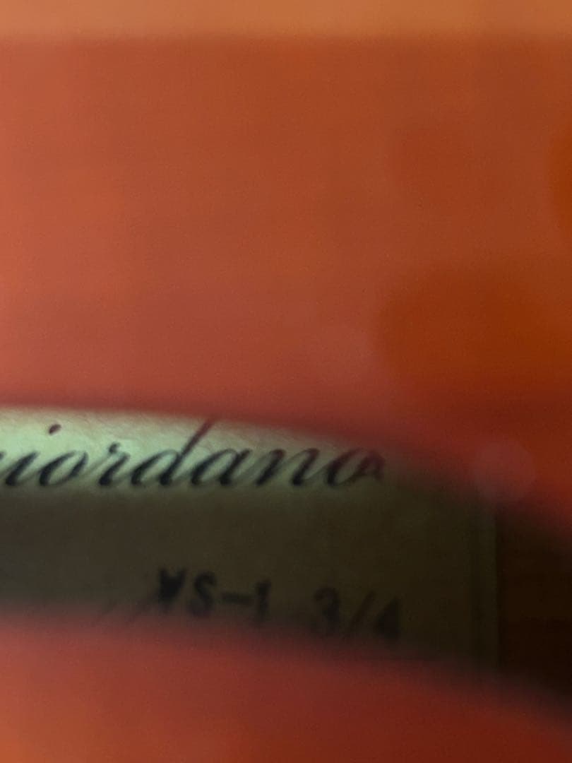 【新品の弓付き】Carlo giordano VS-1 3/4 バイオリン