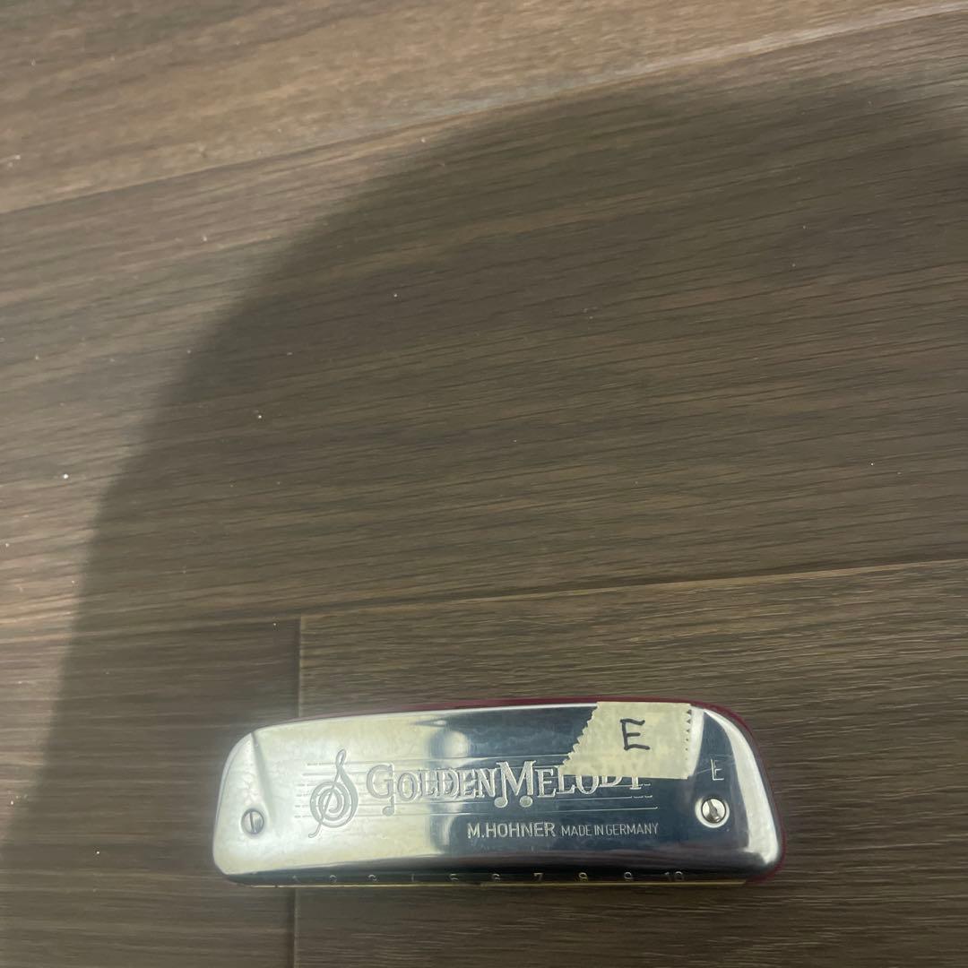 フェン Buy3S M.Hohner ゴールデンメロディ 10本セット