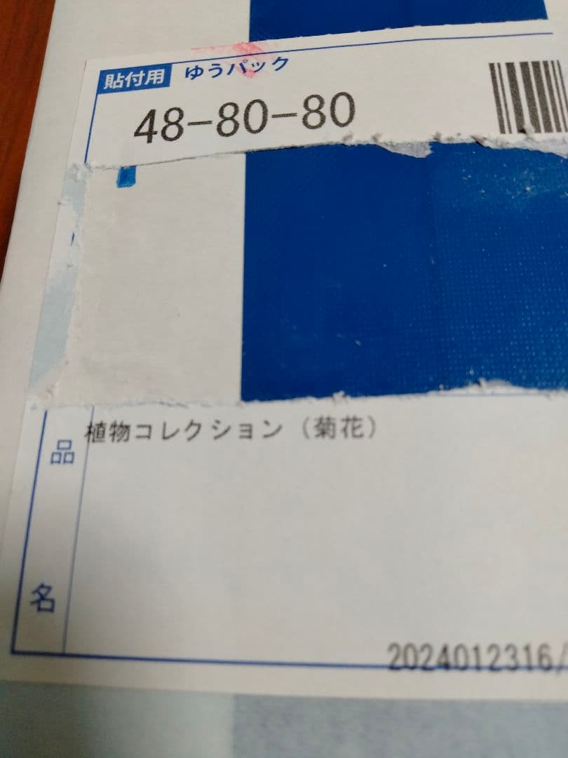 純金メダル-植物コレクション-（菊花）