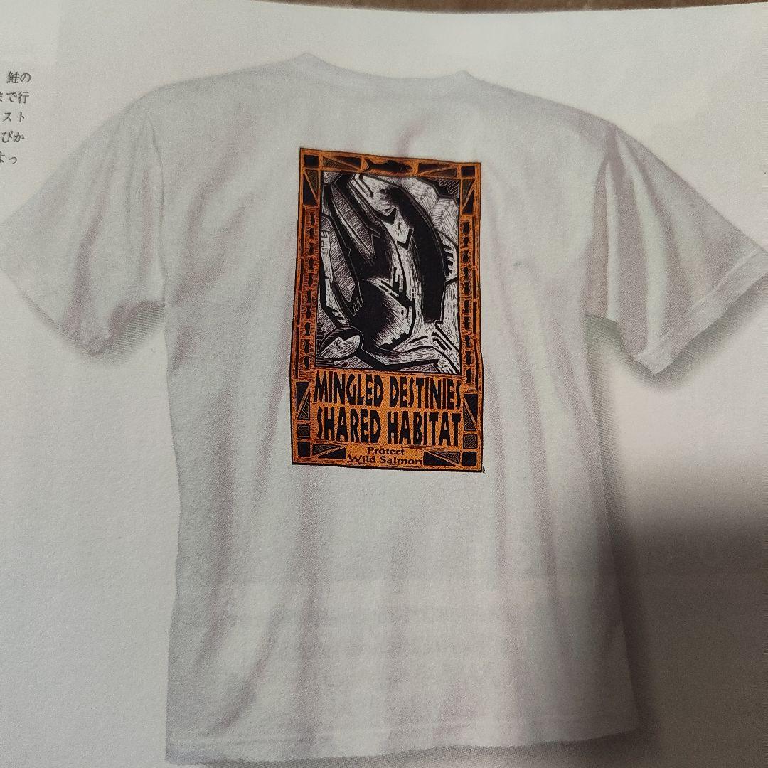 超希少！USA製！雪無しXL！Patagonia サーモンTシャツ