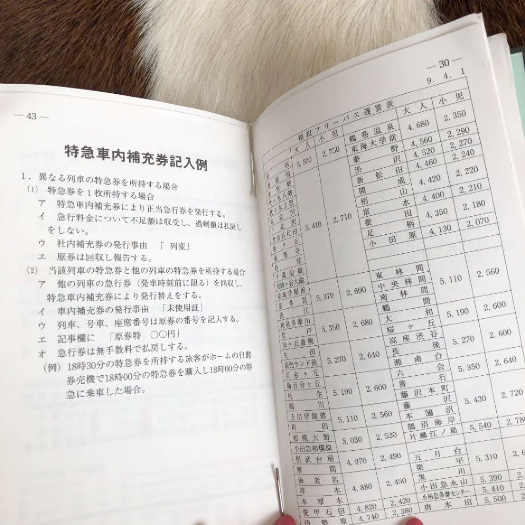 ★鉄道★ 運賃表・車内補充券・切符パンチ・パンチケース　　④