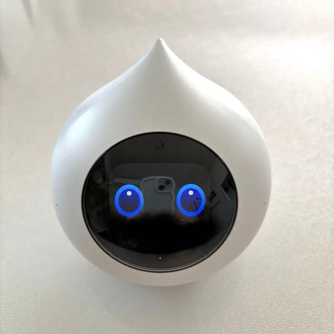 Romi ロミィ　AI搭載おしゃべりロボット