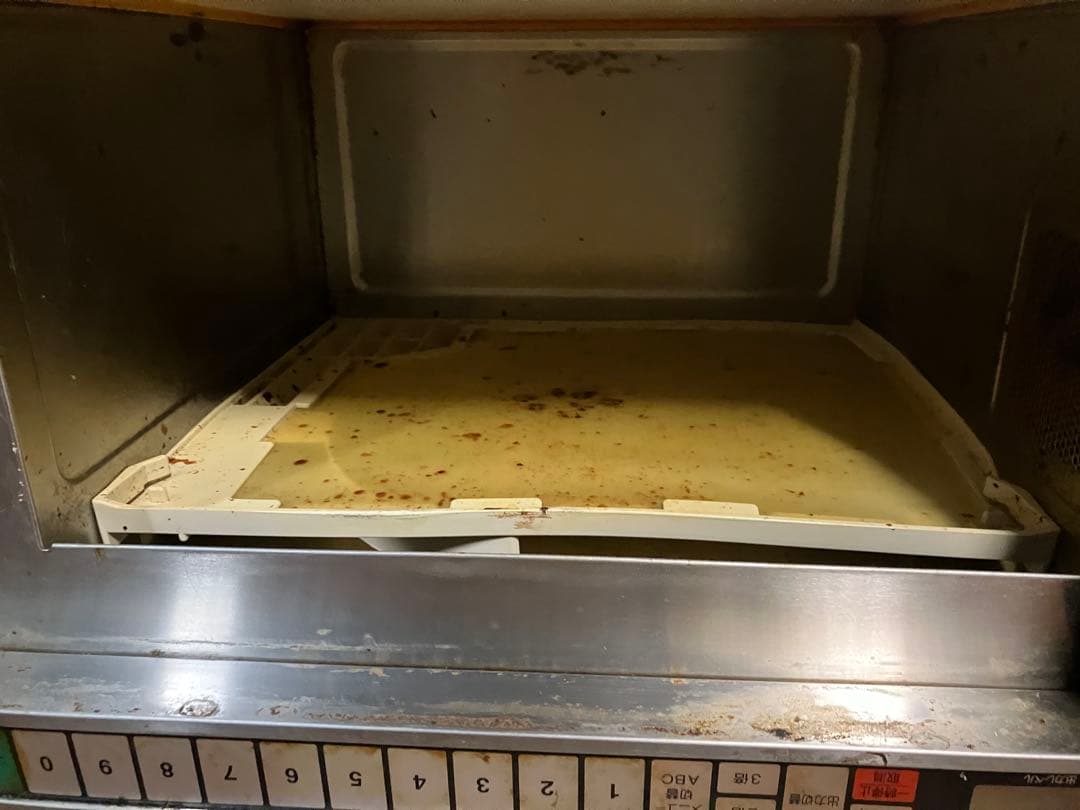 19年製　ホシザキ電気 業務用電子レンジ　HMN-18A