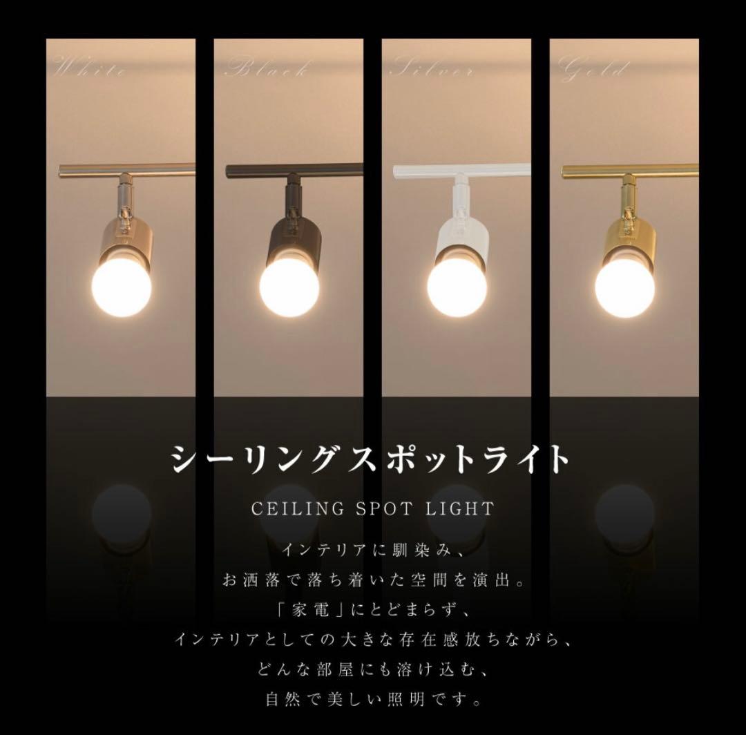 【新品・未使用品】 シーリングライト スポットライト ブラック