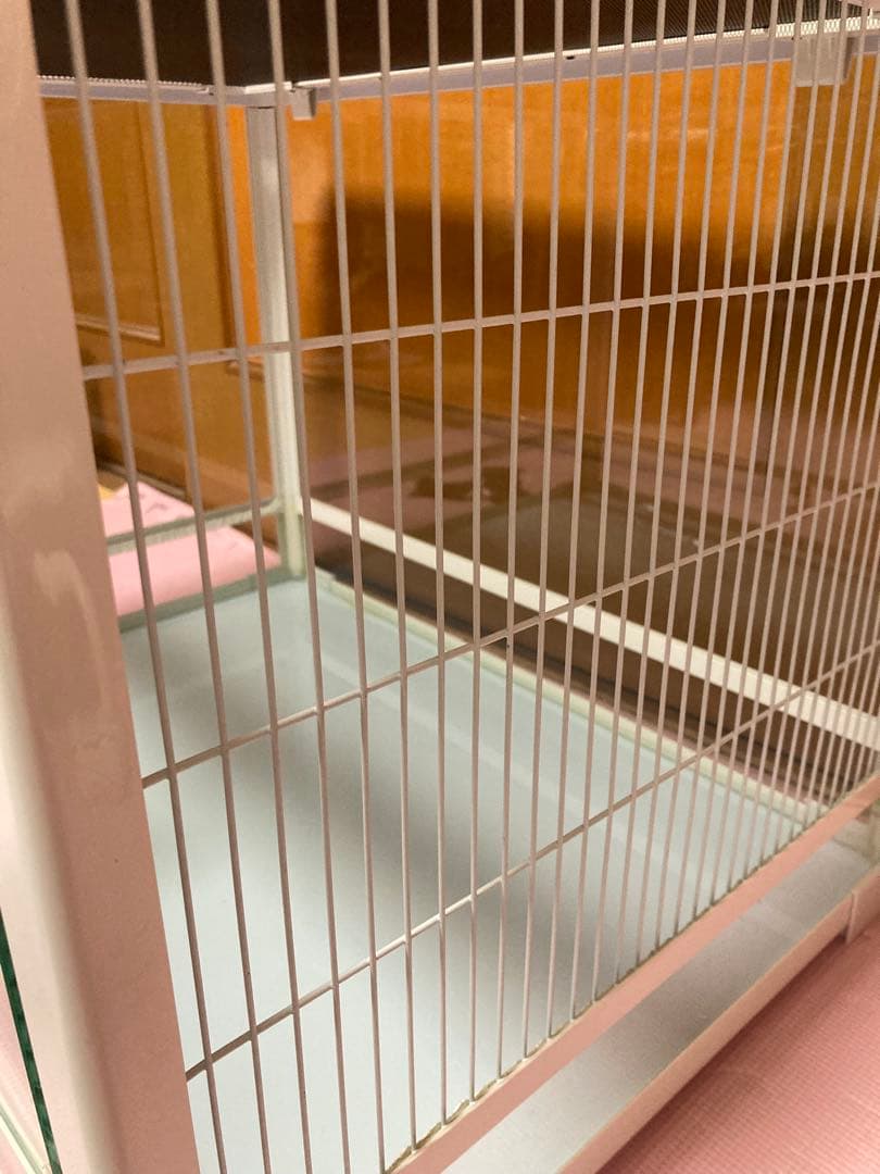 爬虫類ケージ　三晃商会　パンテオン　ホワイト　ＷＨ６０３５