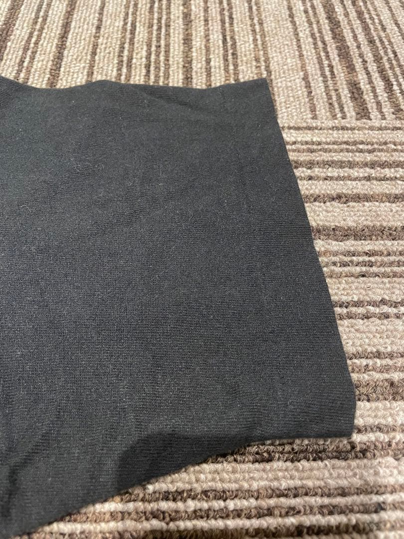 William Wegman Devil Dog Tシャツ バンドT ビンテージ