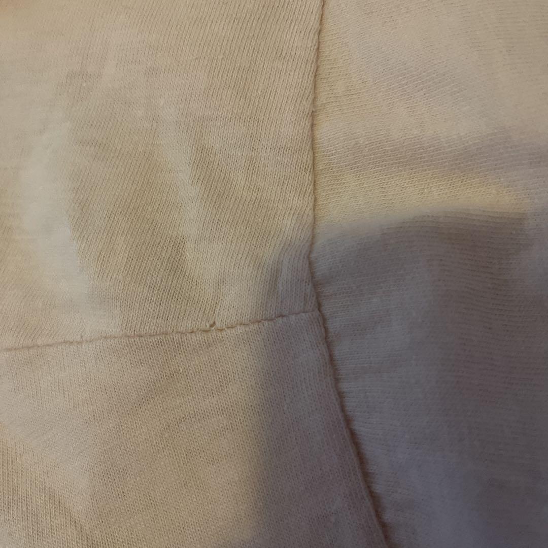 パタゴニア葛飾北斎 浮世絵スペシャルヴィンテージ染み込みプリント希少 Hanes