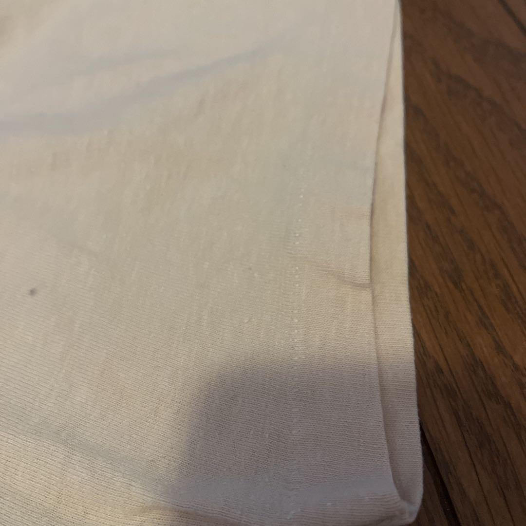 パタゴニア葛飾北斎 浮世絵スペシャルヴィンテージ染み込みプリント希少 Hanes