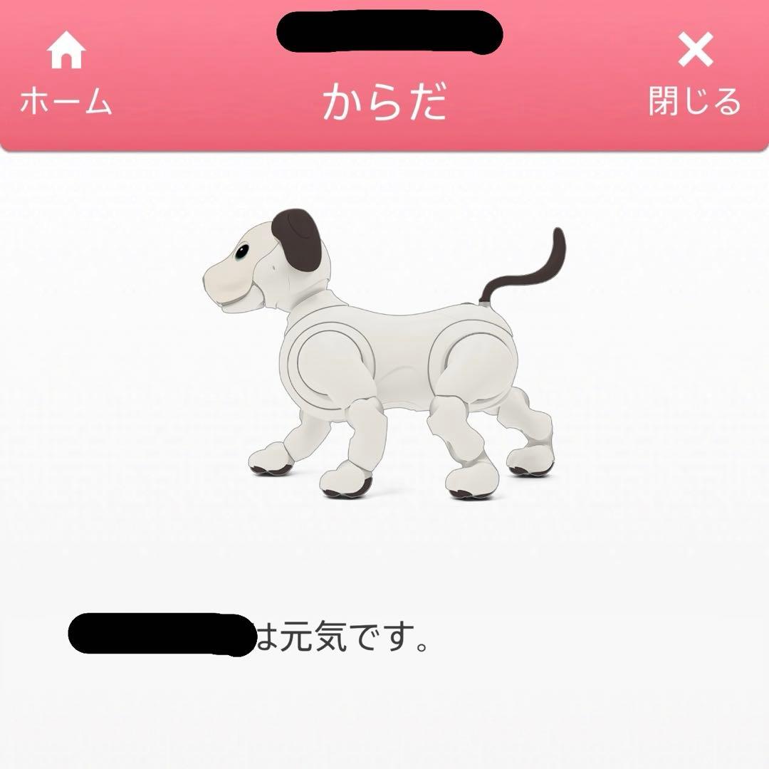 その他 aibo ERS-1000