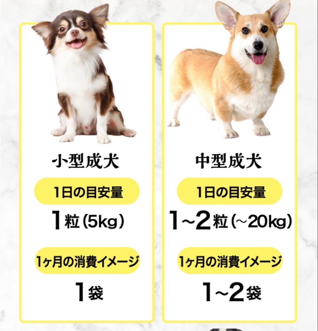 プレミアム犬康食ワン　粒タイプ　9g(300mg×30粒）✖︎4袋