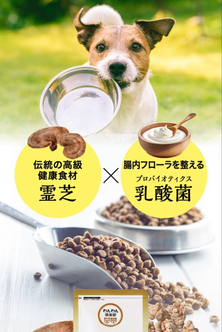 プレミアム犬康食ワン　粒タイプ　9g(300mg×30粒）✖︎4袋