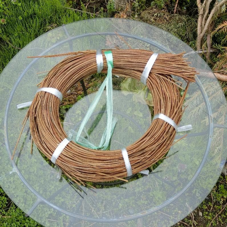 sonarcat　青森岩木山採取　あけび蔓　150cm～ 1kg