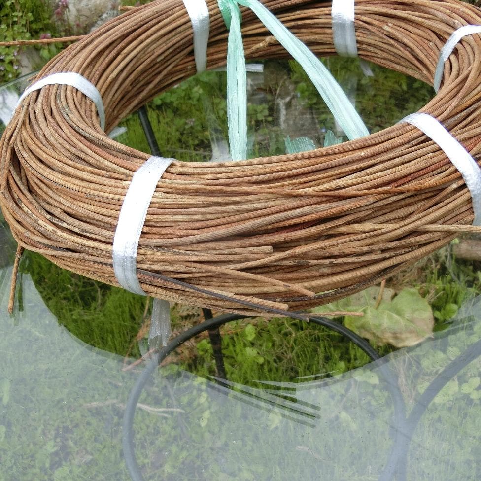 sonarcat　青森岩木山採取　あけび蔓　150cm～ 1kg