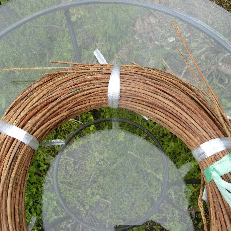 sonarcat　青森岩木山採取　あけび蔓　150cm～ 1kg