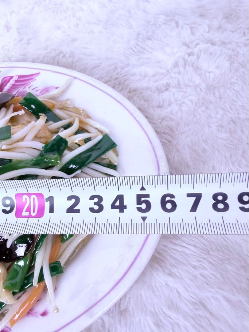 食品サンプル 肉野菜炒め 幅26cm 昭和レトロ 中華料理