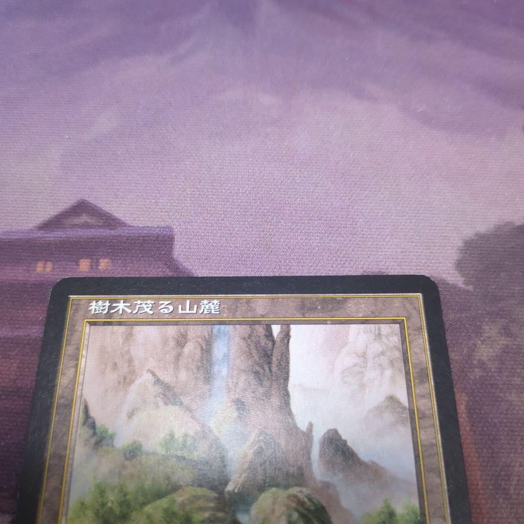 MTG　樹木茂る山麓　Wooded Foothills　ONS　日語