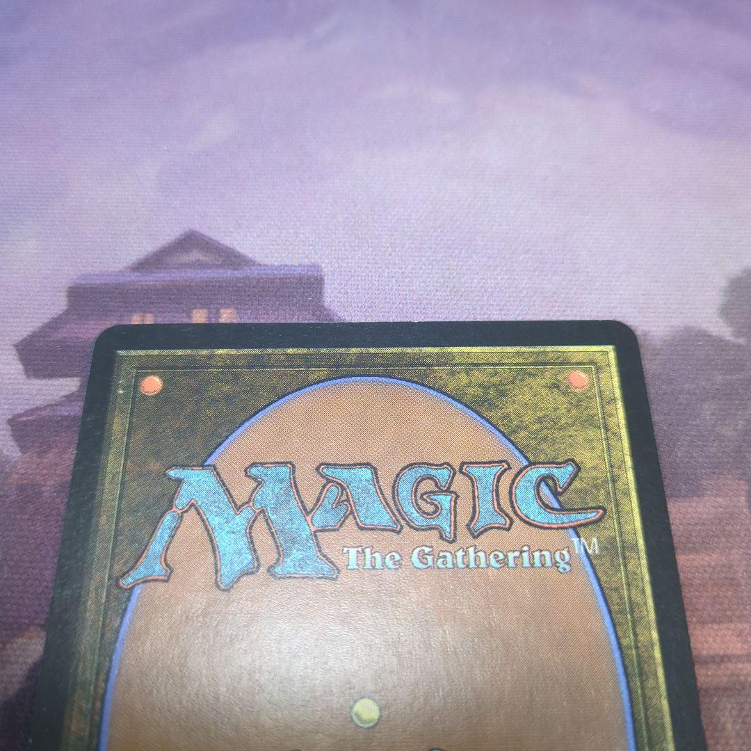 MTG　樹木茂る山麓　Wooded Foothills　ONS　日語