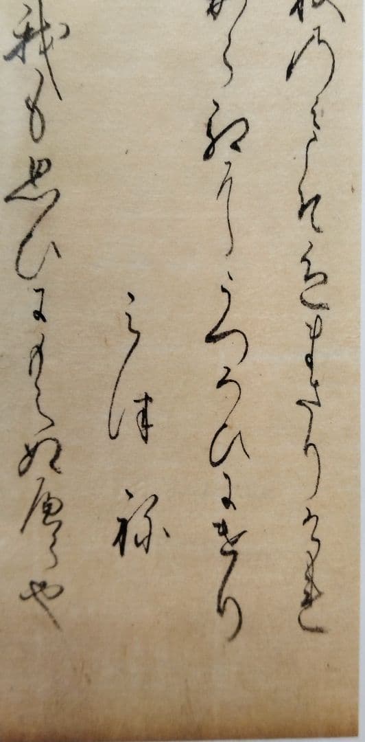 古今和歌集598〜600番★紀貫之 凡河内躬恒　松平不昧正室所蔵 茶道掛軸浮世絵