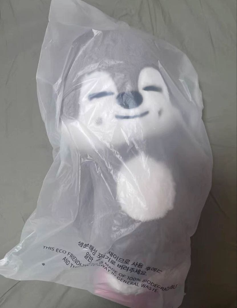 r*0様 straykids スキズ テディベア SKZOO ウルフチャン　te