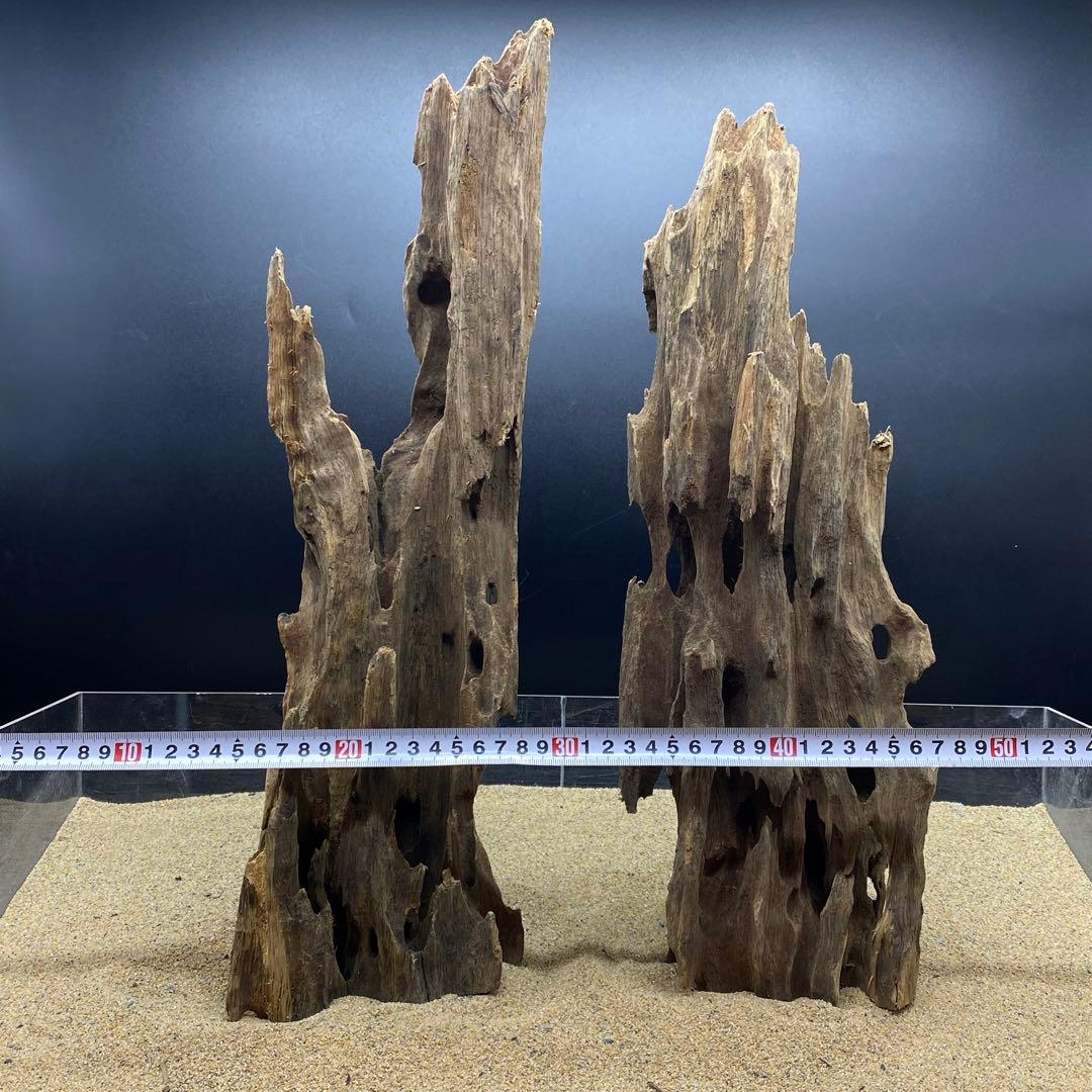 MMW-6402 自立マシンガンウッド2本セット　流木　アクアリウム