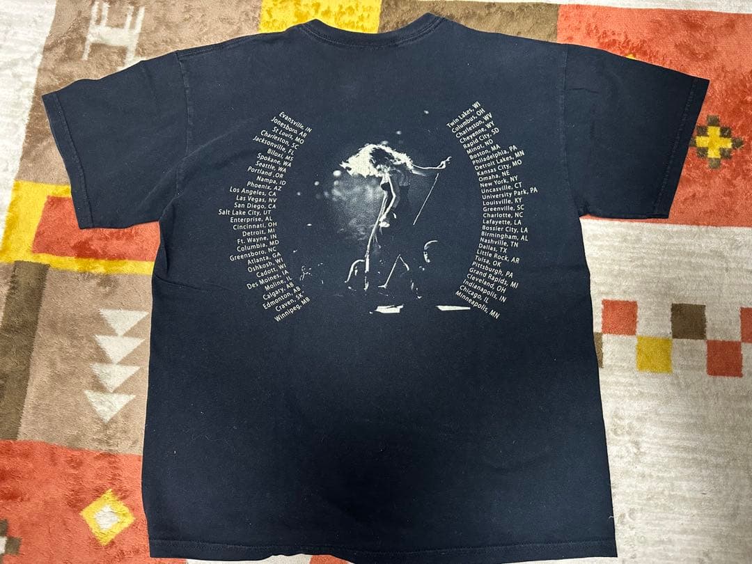 GILDAN半袖Tシャツ　テイラースウィフトライブTシャツ