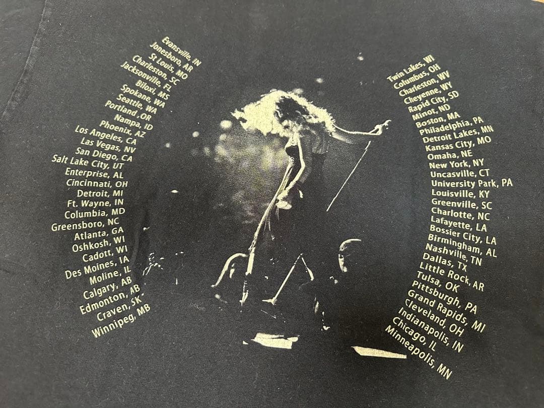 GILDAN半袖Tシャツ　テイラースウィフトライブTシャツ