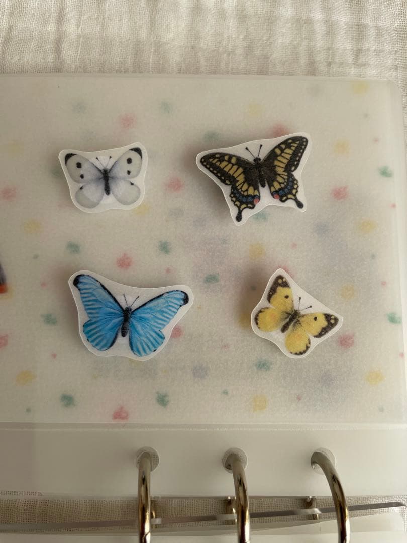 1点のみ 韓国 リフィル 現金 貯金