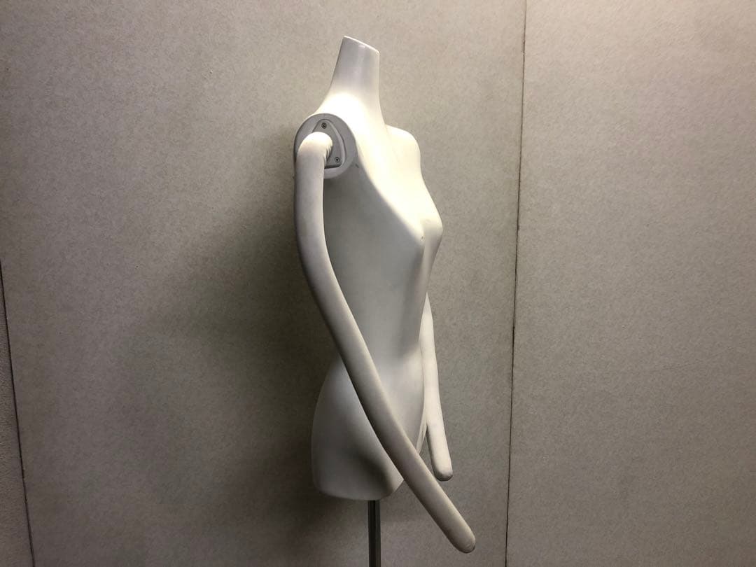 婦人トルソー・ボディ・マネキン稀有品(腕付)