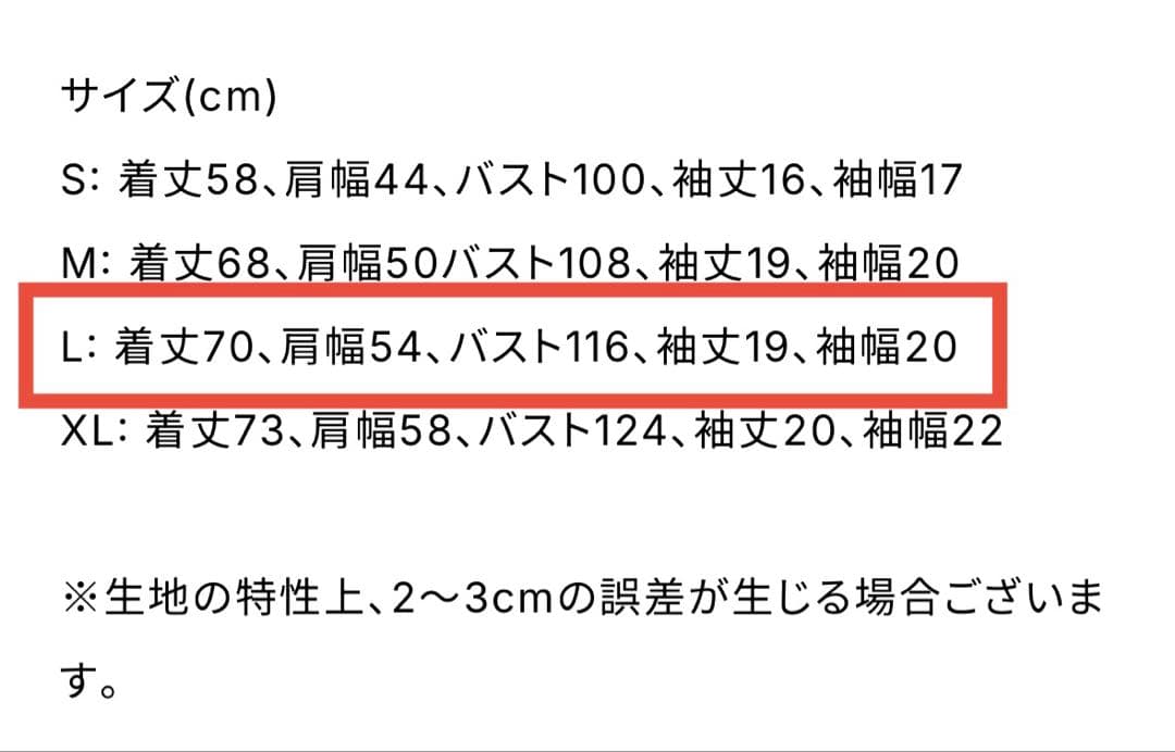 【新品】VERDY Wasted Youth x BoTT Tee L