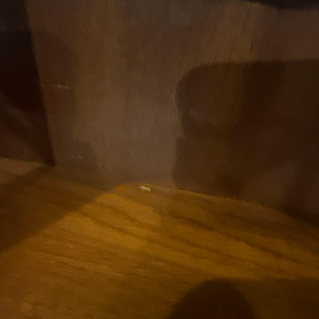 ビンテージ　 ウォールガラスキャビネット