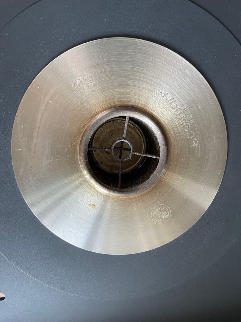 W342150 ⭐︎eco smart fire