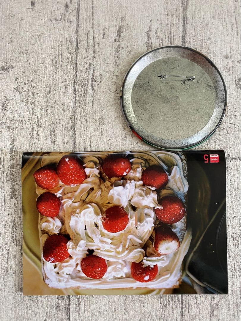 2010年　私家版限定品　未来ちゃん 川島小鳥