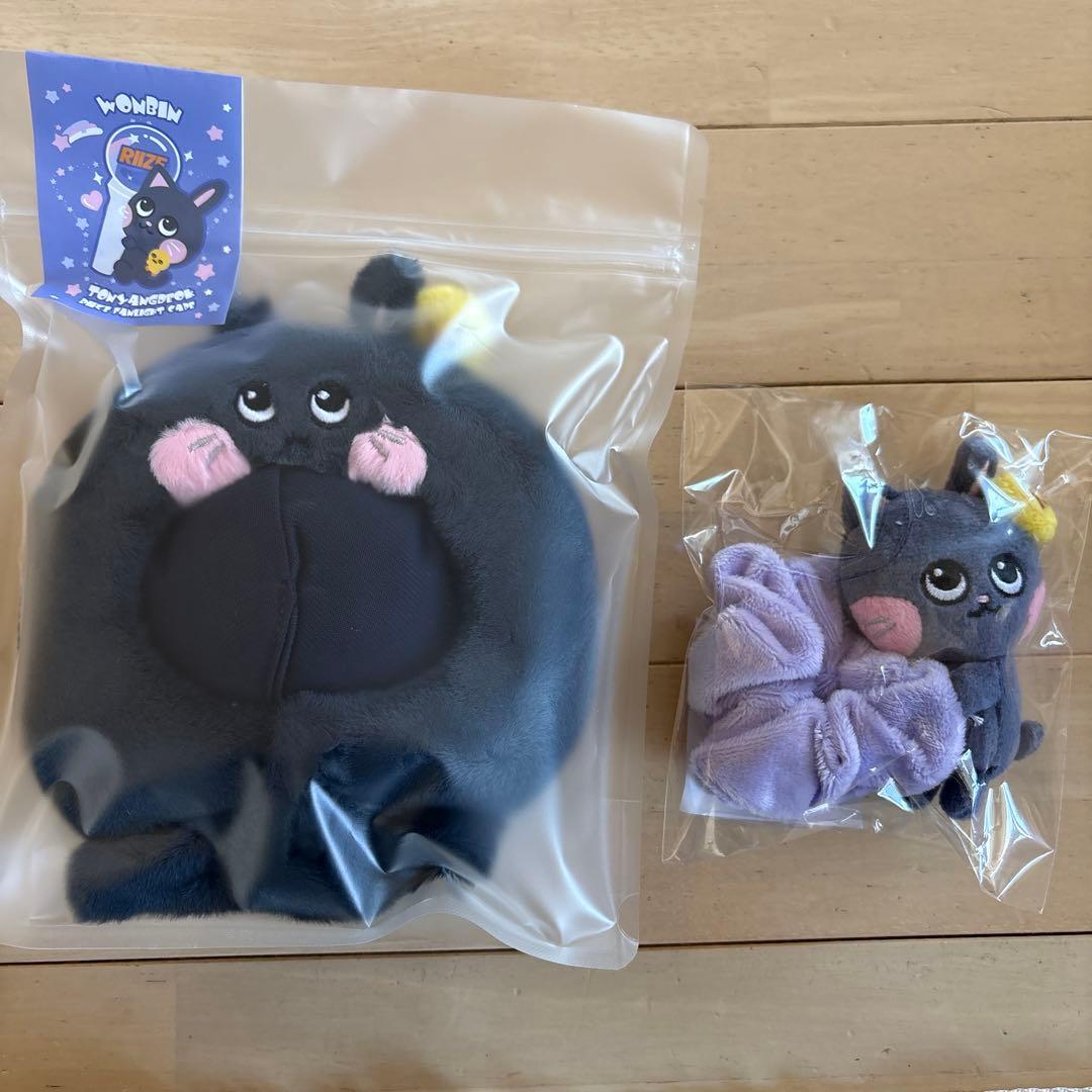 RIIZE ウォンビン　トルニャンドク　ペンライトカバー　シュシュ　リラズ