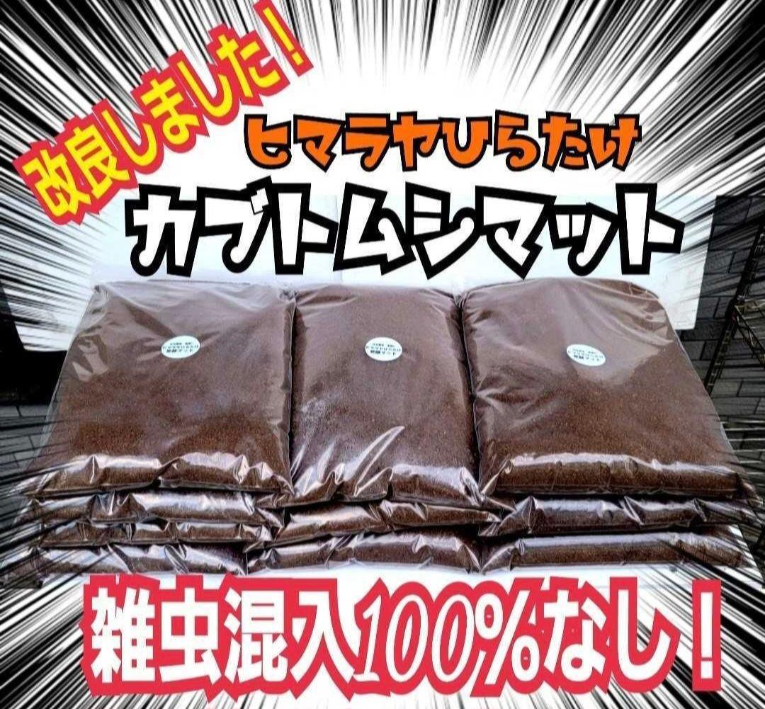 カブトムシの産卵に抜群！ヒマラヤひらたけ発酵マット【60L】雑虫がわきません！