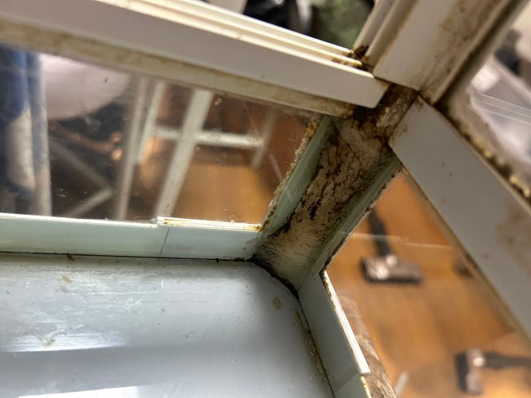 WH9045 パンテオンホワイト 爬虫類ケージ