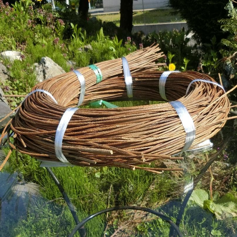 青森岩木山採取　あけび蔓　150cm～ 1.5kg