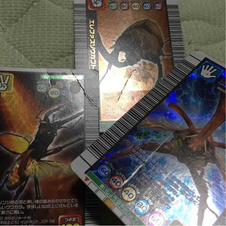 ムシキング（訳アリ）セット