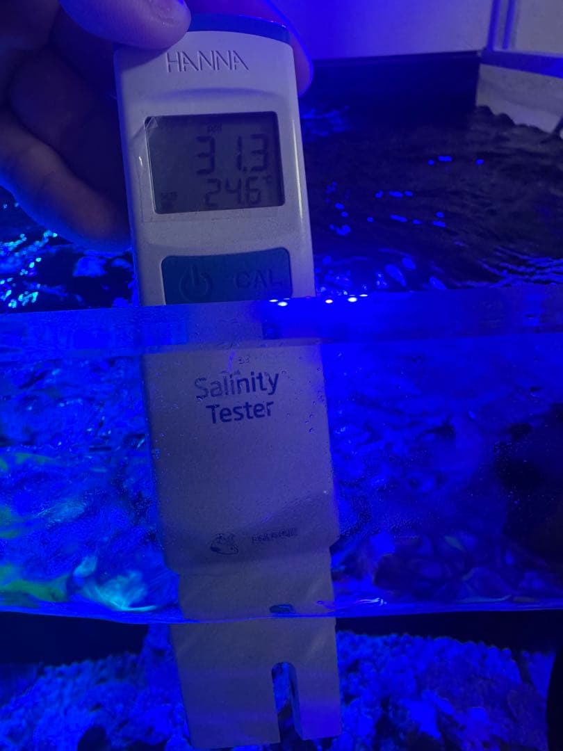 HANNA デジタル比重計