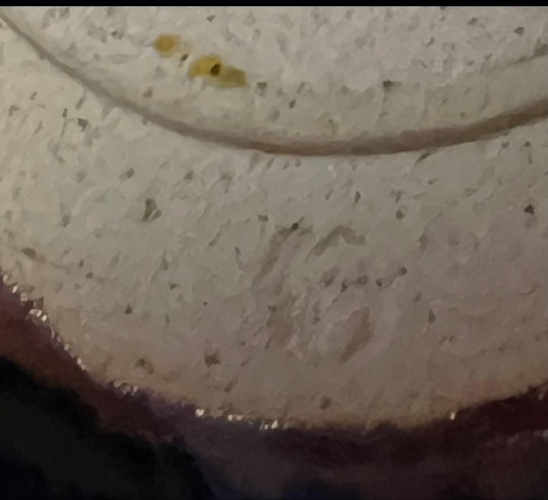 １月末迄、大幅値下げ断行！ 作者不明 黒茶碗 丸形 茶道具