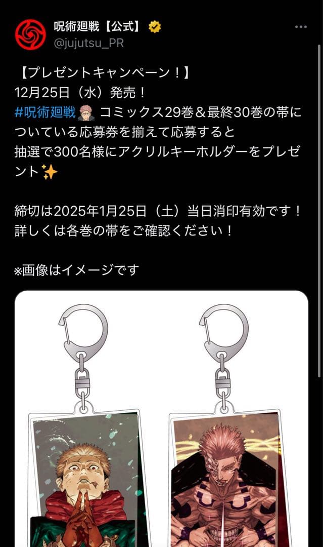 【300名限定懸賞】 呪術廻戦 29巻＆最終30巻 表紙 アクリルキーホルダー