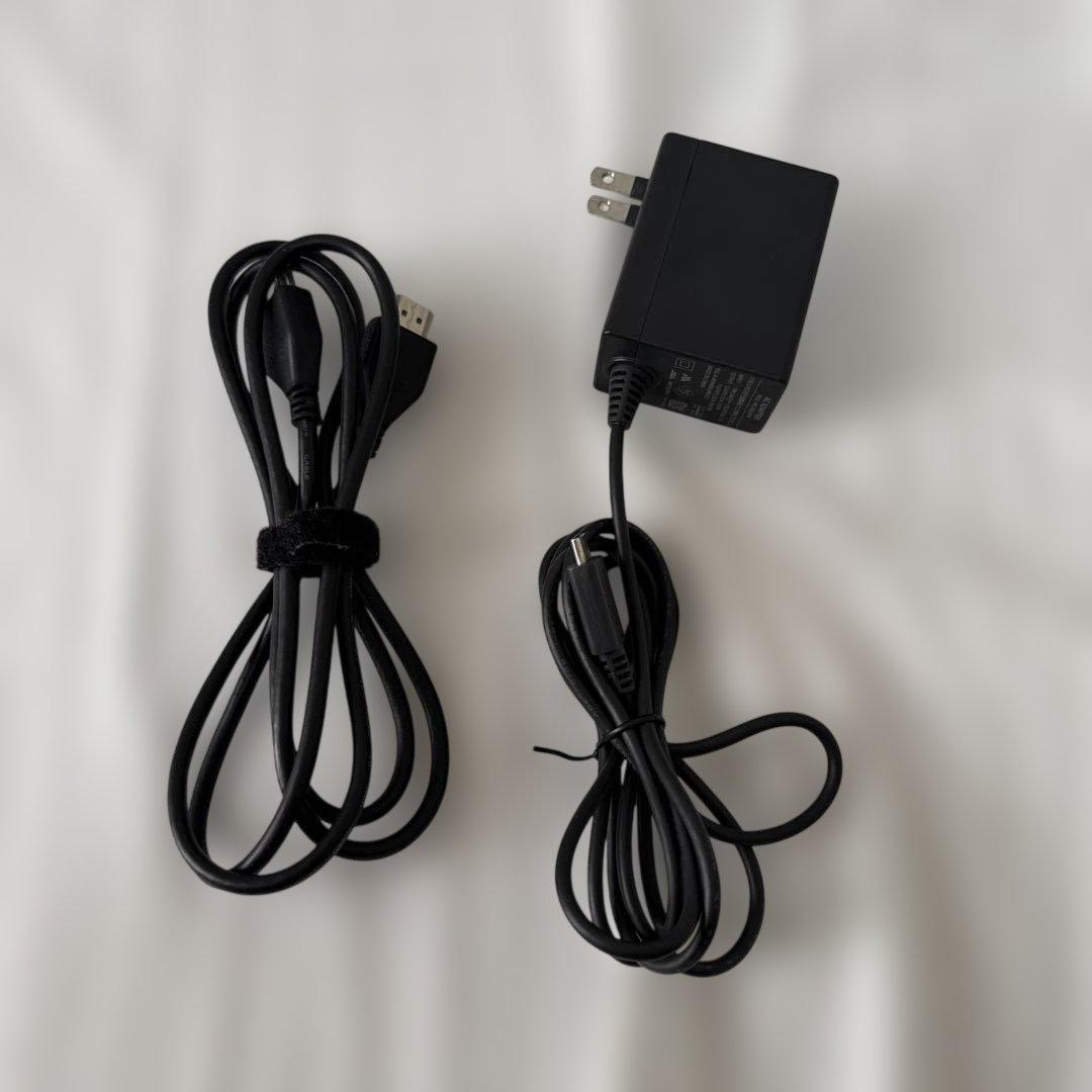 Nintendo Switch あつまれどうぶつの森版 本体セット ケース付