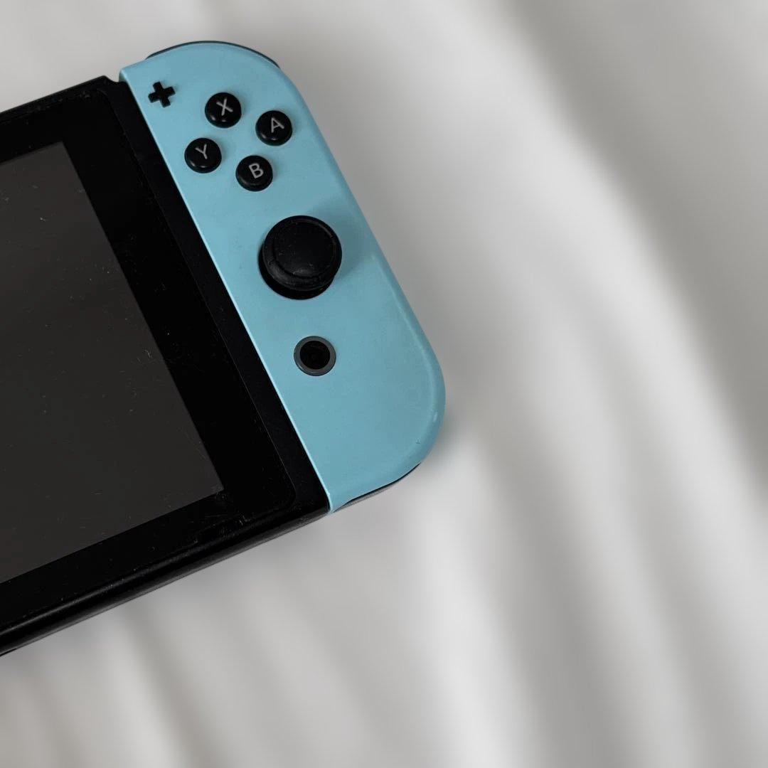 Nintendo Switch あつまれどうぶつの森版 本体セット ケース付